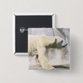 Eisbär Button (Vorne & Hinten)