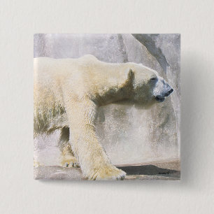 Eisbär Button