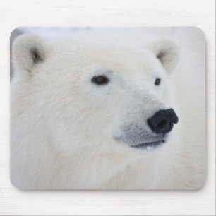 Eisbär Churchill Mousepad