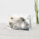 Eisbär CUB Karte (Vorderseite)