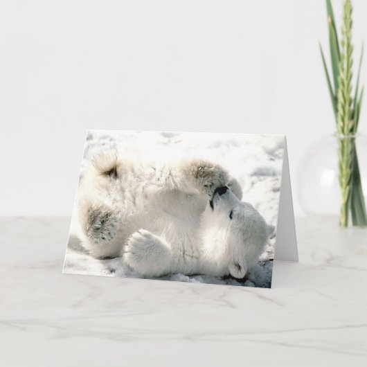 Eisbär CUB Karte (Vorderseite)