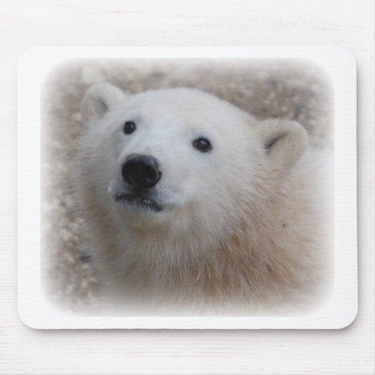 Eisbär CUB Mousepad (Vorne)