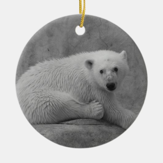 Eisbär CUB verzieren Keramikornament (Vorne)