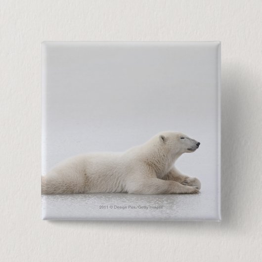Eisbär, der auf einen See des Eises legt Button (Vorderseite)
