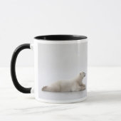 Eisbär, der auf einen See des Eises legt Tasse (Links)