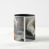 Eisbär, der einen Kürbis isst Tasse (Zentrum)