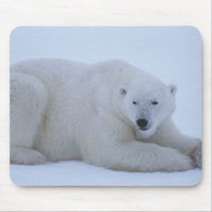 Eisbär, der im Schnee stillsteht Mousepad