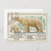Eisbär der sowjetischen Briefmarke Postkarte (Vorne/Hinten)