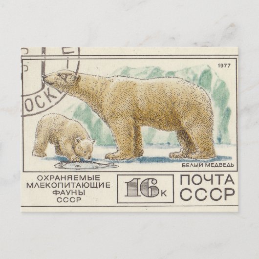 Eisbär der sowjetischen Briefmarke Postkarte (Vorderseite)