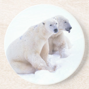 Eisbär-Duo Untersetzer
