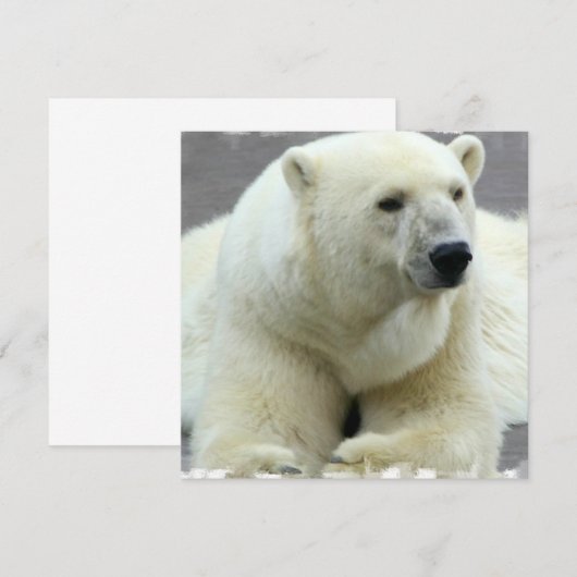 Eisbär-Einladung Einladung (Vorne/Hinten)