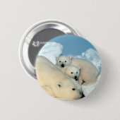 Eisbär-Familie Button (Vorne & Hinten)