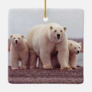 Eisbär-Familie Keramikornament