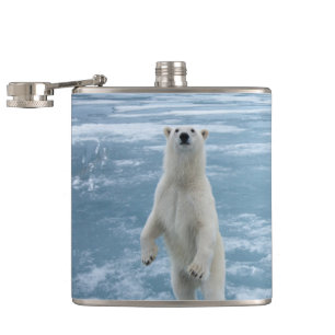 Eisbär Flachmann