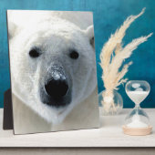 Eisbär Fotoplatte (Seite)