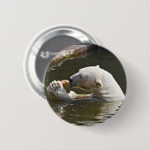 Eisbar frisst Frucht-Abzeichen Button (Vorne & Hinten)