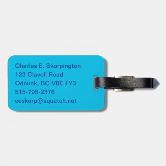 Eisbär Gepäckanhänger (Rückseite horizontal)