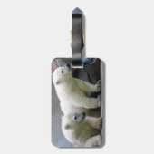 Eisbär-Gepäckanhänger mit Lederband Gepäckanhänger (Rückseite vertikal)
