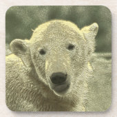 Eisbär Getränkeuntersetzer (Vorderseite)
