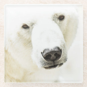 Eisbär Glasuntersetzer