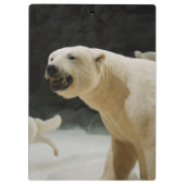 Eisbär-Grinsen Klemmbrett (Rückseite)