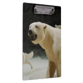 Eisbär-Grinsen Klemmbrett (Rechts)