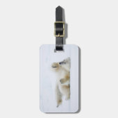 Eisbär im Schnee, Norwegen Gepäckanhänger (Vorderseite vertikal)