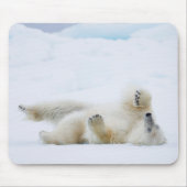 Eisbär im Schnee, Norwegen Mousepad (Vorne)