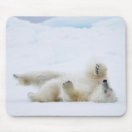 Eisbär im Schnee, Norwegen Mousepad (Vorne)