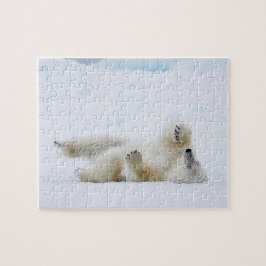 Eisbär im Schnee, Norwegen Puzzle (Horizontal)
