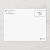 Eisbär im Schnee Postkarte (Rückseite)