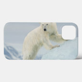 Eisbär im Sommer Case-Mate iPhone Hülle (Rückseite (Horizontal))