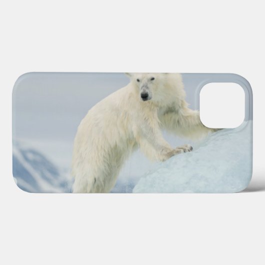 Eisbär im Sommer Case-Mate iPhone Hülle (Rückseite (Horizontal))