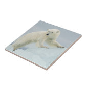 Eisbär im Sommer Fliese (Seite)