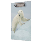 Eisbär im Sommer Klemmbrett (Links)