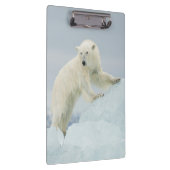 Eisbär im Sommer Klemmbrett (Rechts)