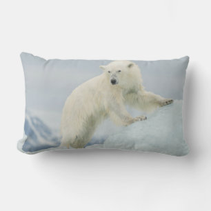 Eisbär im Sommer Lendenkissen