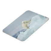 Eisbär im Sommer Magnet (Linke Seite)