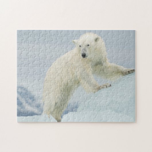 Eisbär im Sommer Puzzle (Horizontal)