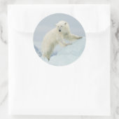 Eisbär im Sommer Runder Aufkleber (Tasche)