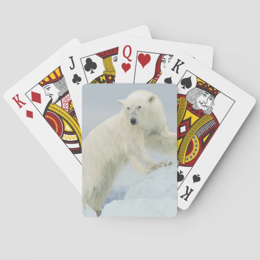 Eisbär im Sommer Spielkarten (Rückseite)
