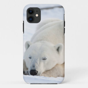 Eisbär im Winter iPhone 11 Hülle