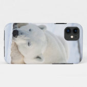 Eisbär im Winter Case-Mate iPhone Hülle (Rückseite (Horizontal))