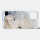 Eisbär im Winter Case-Mate iPhone Hülle (Rückseite (Horizontal))