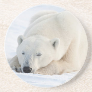 Eisbär im Winter Getränkeuntersetzer