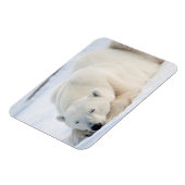 Eisbär im Winter Magnet (Linke Seite)