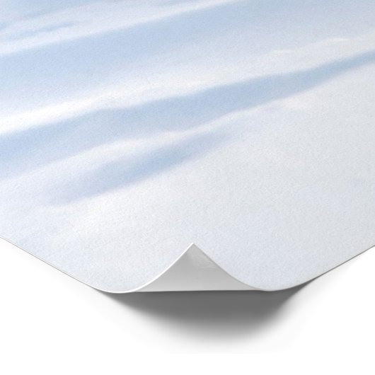 Eisbär im Winter Poster (Ecke)