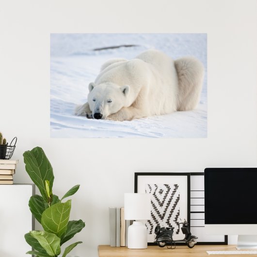 Eisbär im Winter Poster (Heimbüro)