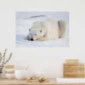 Eisbär im Winter Poster (Küche)