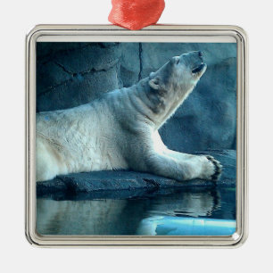 Eisbär in der Gebets-Verzierung Silbernes Ornament